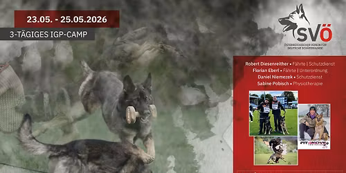 3. SV\u00d6 IGP Camp