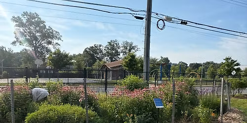 Wood Chips and Weeding at Sturgis Moore