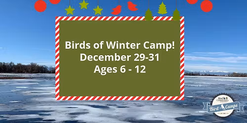 Birds of Winter Camp
