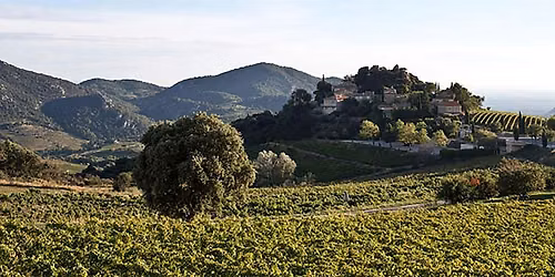 The Wines of the Rh\u00f4ne Valley (In 90 Minutes)