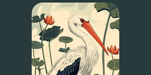 Swampflower Live At Martin's