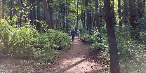 Mindfulness Walk in Pioneer Park