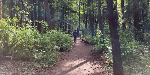 Mindfulness Walk in Pioneer Park