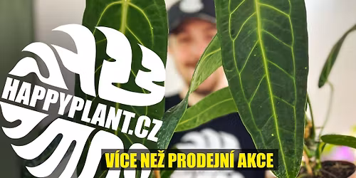 Mat\u011bj z HAPPYPLANT \ud83d\udd25 Exotick\u00e9 izbov\u00e9 rastliny \ud83c\udf3fBRATISLAVA