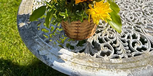 Flower Arranging Afternoon