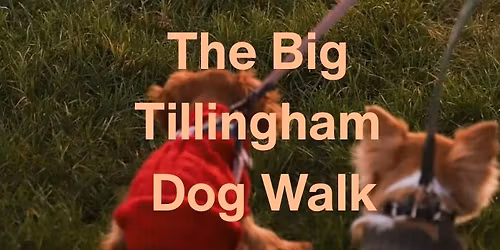 THE BIG TILLINGHAM DOG WALK