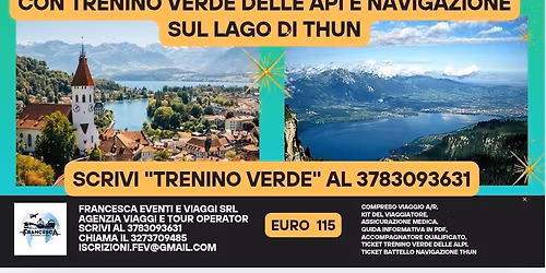 GITA CON IL TRENINO VERDE DELLE ALPI E NAVIGAZIONE SUL LAGO DI THUN