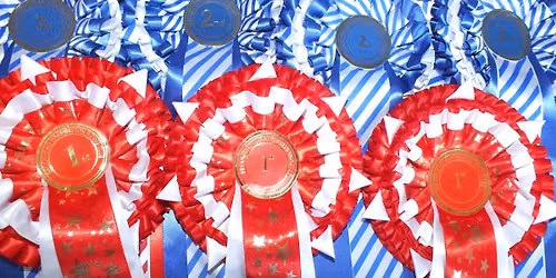Championship Show