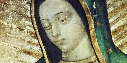 Festividad Virgen de Guadalupe Fam. Dela Torre Espinosa