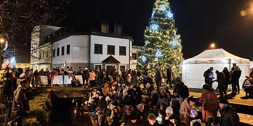 Zp\u00edv\u00e1n\u00ed u v\u00e1no\u010dn\u00edho stromu a pou\u0161t\u011bn\u00ed sko\u0159\u00e1pkov\u00fdch lodi\u010dek