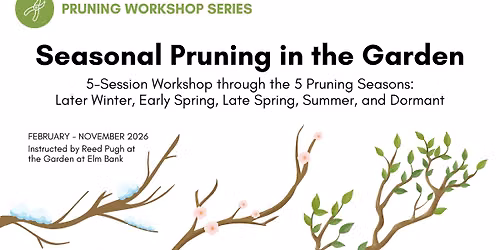 Seasonal Pruning in the Garden: Workshop Series