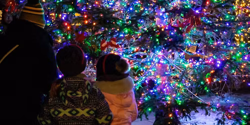 Broadway District Tree Lighting