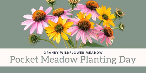 Pocket Teaching Meadow Planting Day