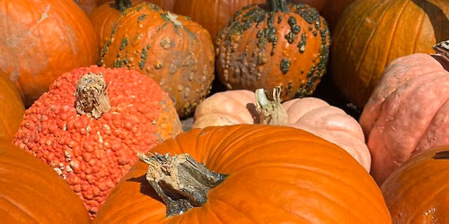 Olde Towne Pumpkin Festival