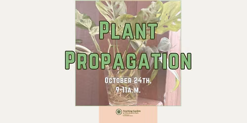 Plant Propagation
