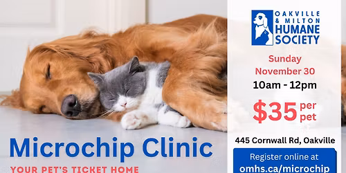 Microchip Clinic Appointments 