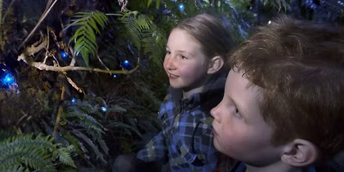 Glow In the Dark Titiwai Tours - New Zealand Glow Worms