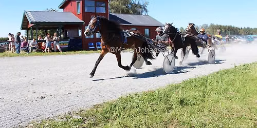 Lokalkj\u00f8ring Stange og Romedal Travselskap. P\u00e5 Stange landbane.
