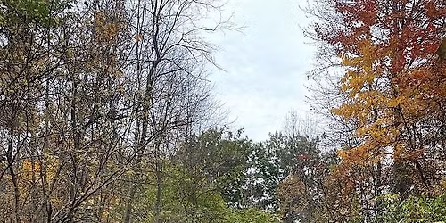 Walk in Nature  - Ravine Rd or Campus Nature