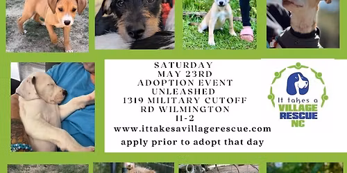 May 23 Wilmington Adoption Event