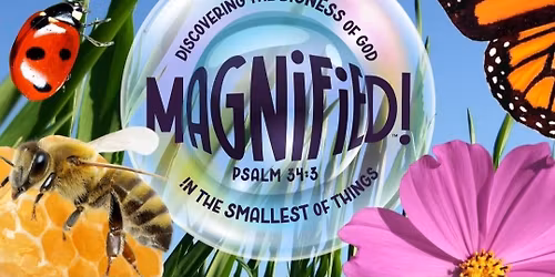 VBS 2026: Magnified 