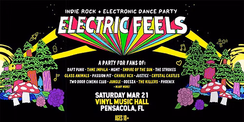 Electric Feels Indie Rock + Indie Dance Party at Vinyl Music Hall