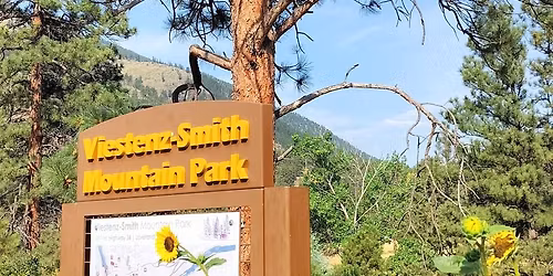 Forest Bathing at Viestenz-Smith Mountain Park