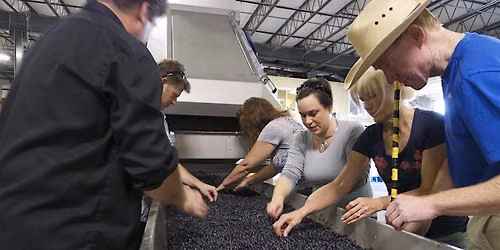TWF Winemaking Crushcamp: Friday, October 2, 2026
