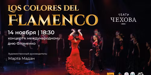 Ziua Interna\u021bional\u0103 a Flamenco la Chi\u0219in\u0103u