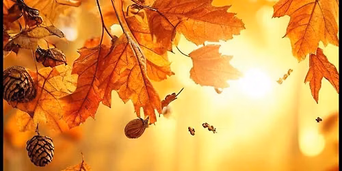 October Compassionate Friends Meeting 