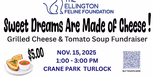 Sweet Dreams Are Made Of Cheese Fundraiser