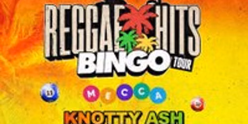 Reggae Hits Bingo | Stevenage