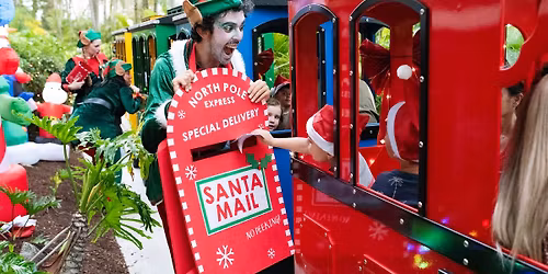 The Magical Christmas Train