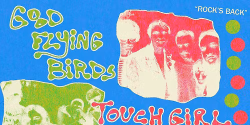 [FREE] Good Flying Birds