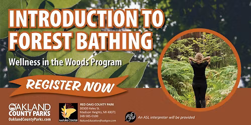 Introduction to Forest Bathing