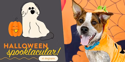 Halloween Party and Parents Night Out!