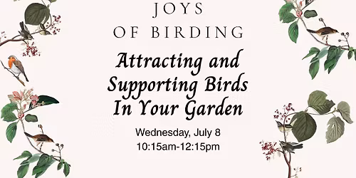 Joys of Birding: Attracting & Supporting Birds in Your Garden