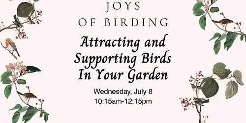 Joys of Birding: Attracting & Supporting Birds in Your Garden