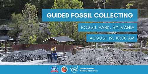 Earth Science Summer: Guided Fossil Collecting \u2013 Sylvania Fossil Park
