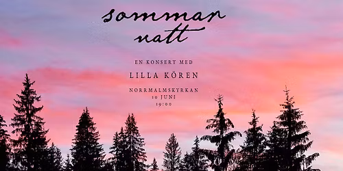 Sommarnatt - en konsert med Lilla k\u00f6ren
