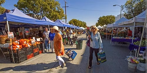 Dallas Fall Market & Food Truck Festival
