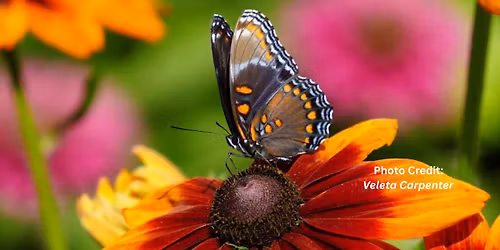 Volunteer Wetland Seeding Day