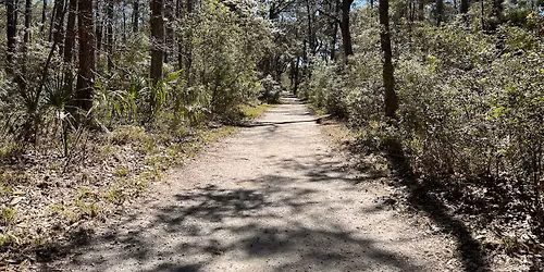 Stills of Skidaway Hike