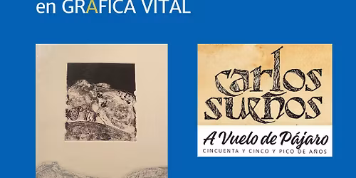 Conoce a los artistas: Carlos Sue\u00f1os [Museo y Biblioteca]