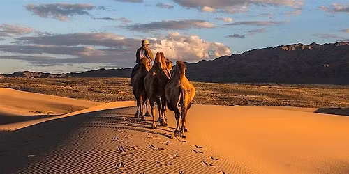 Mongolian Camel Day