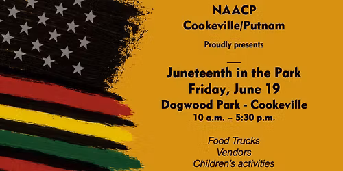 Juneteenth In the Park