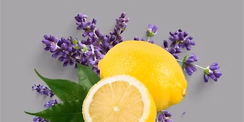 Create Your Own Budget Friendly Natural Home Cleaning Kit