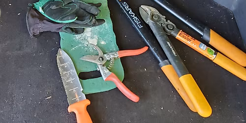 Workday at Schramm Nature Preserve