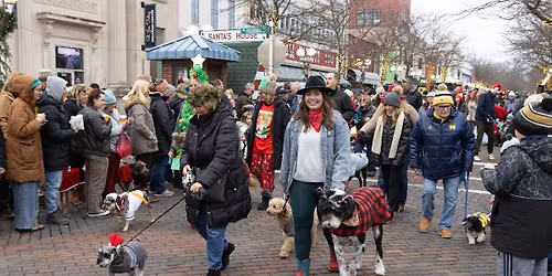 2025 Reindog Parade