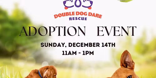 Adoption Event